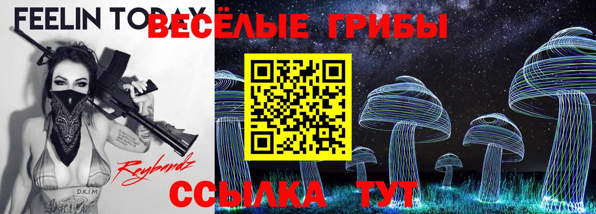 Галлюциногенные грибы GOLDEN TEACHER  Псилоцибиновые грибы мухоморы  Вход с VPN  Лосино-Петровский 